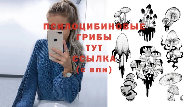 молекула духа Балахна